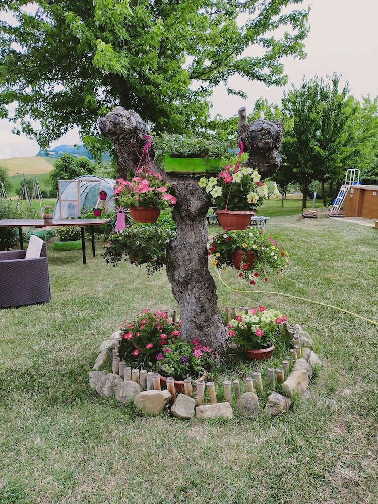 Фото Mansarda Viti