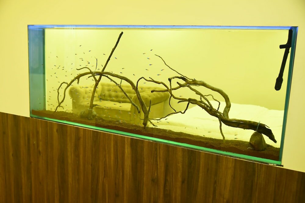 Фото Fundera Aqua Stay