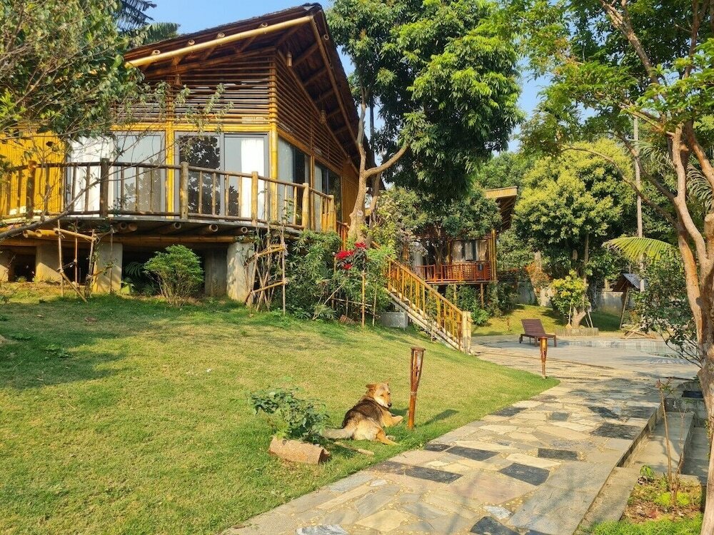 Фото Little Bee House