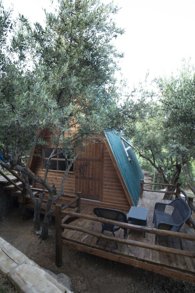 Фото Captain Ikaros