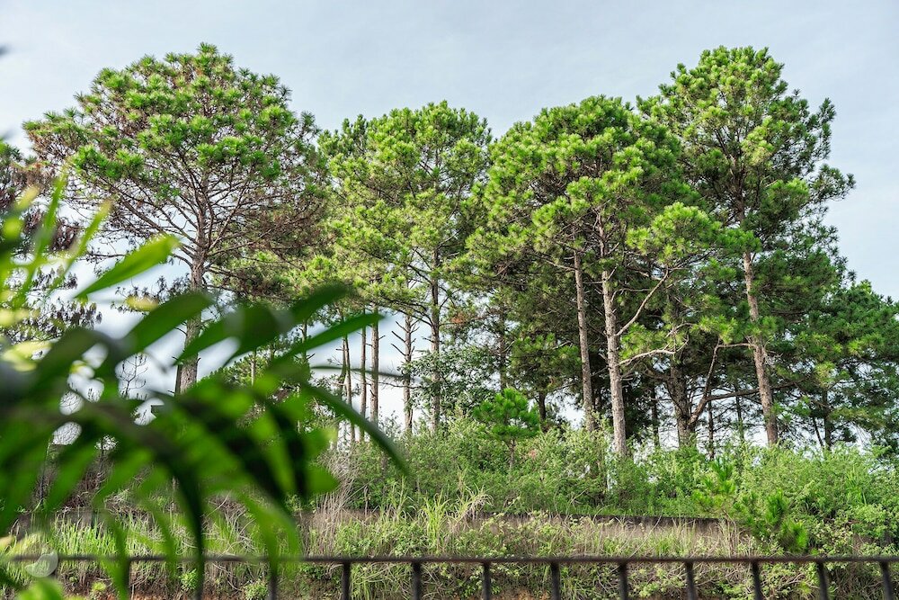 Фото Mien Suong Khoi - Home & Cafe