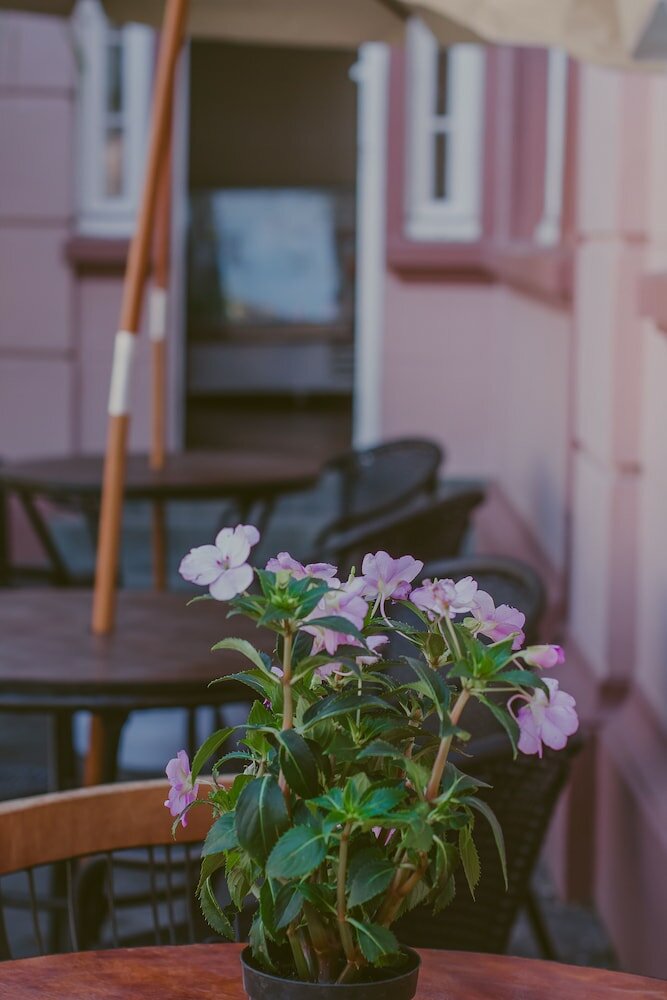 Фото Vila Santa Eulália Hostel