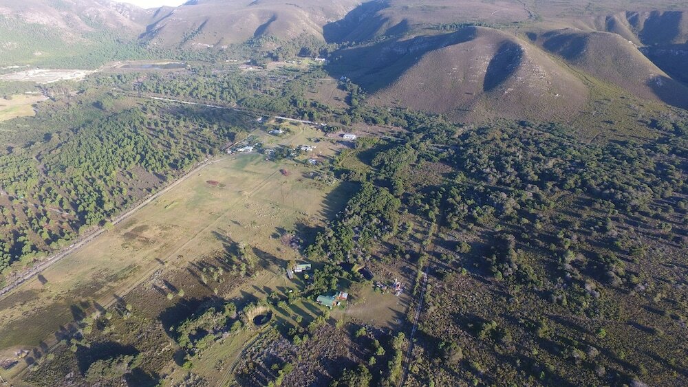 Фото Groeneweide