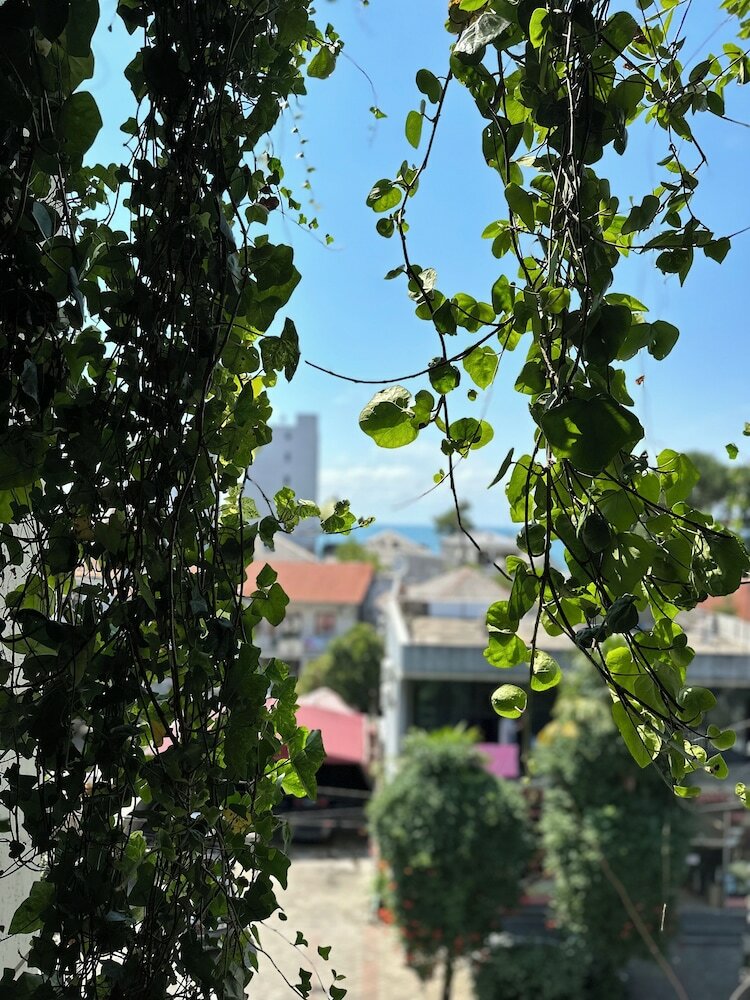 Фото Bamboo Garden