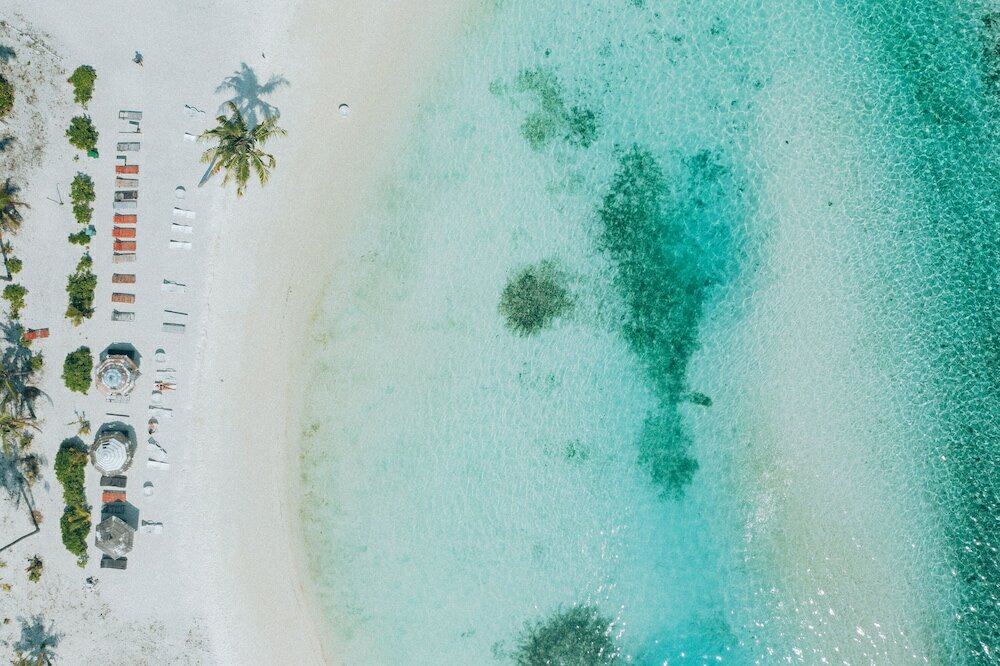 Фото The Bilimbi Guesthouse & Inn