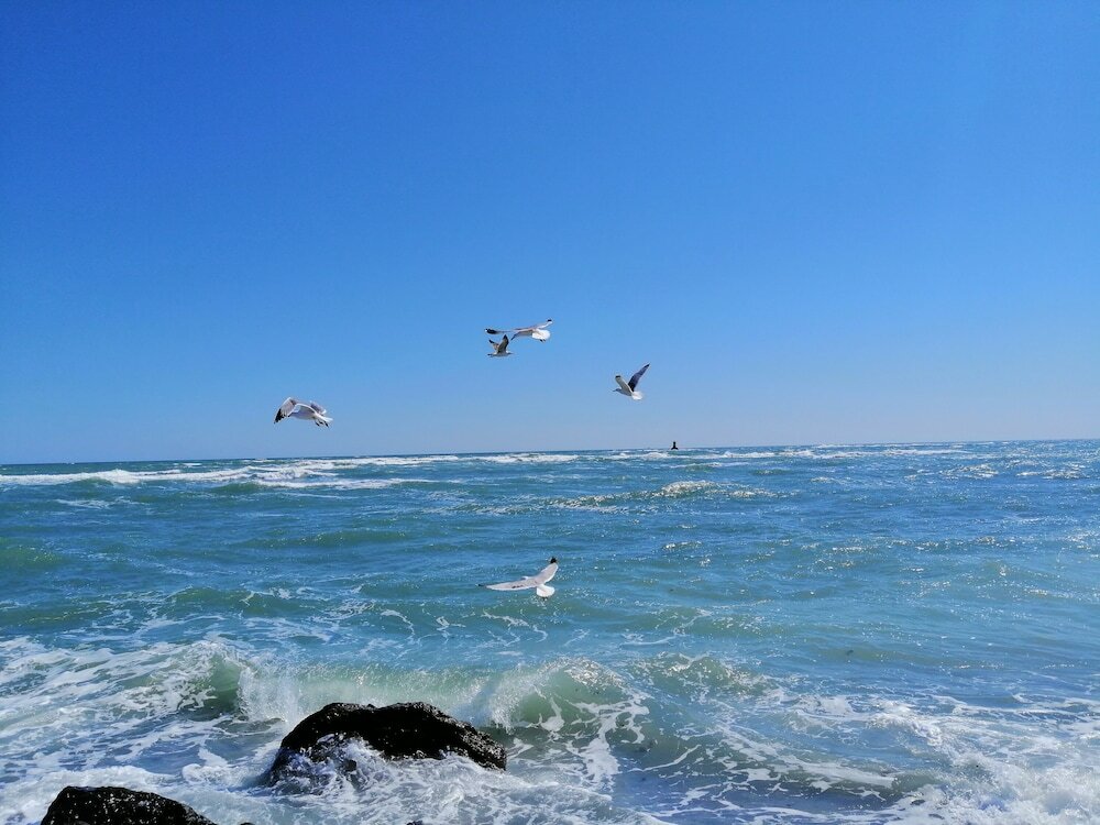 Фото Inter Holiday Apartments