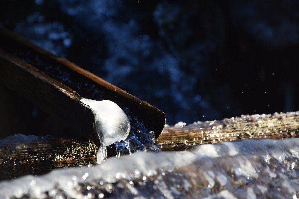 Фото Berggasthof Badl