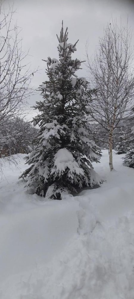 Фото Отель университет