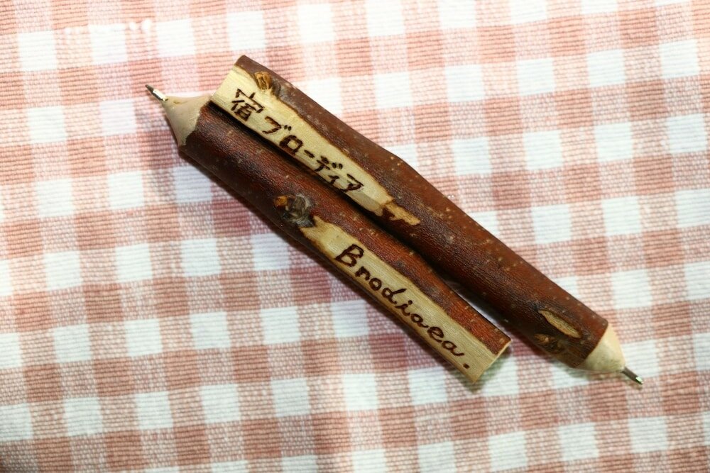 Фото Yado Brodiaea