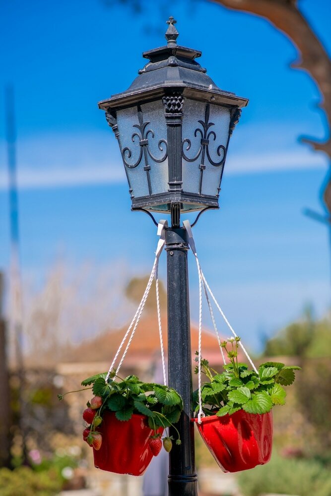 Фото Sweet Cottage Retreat