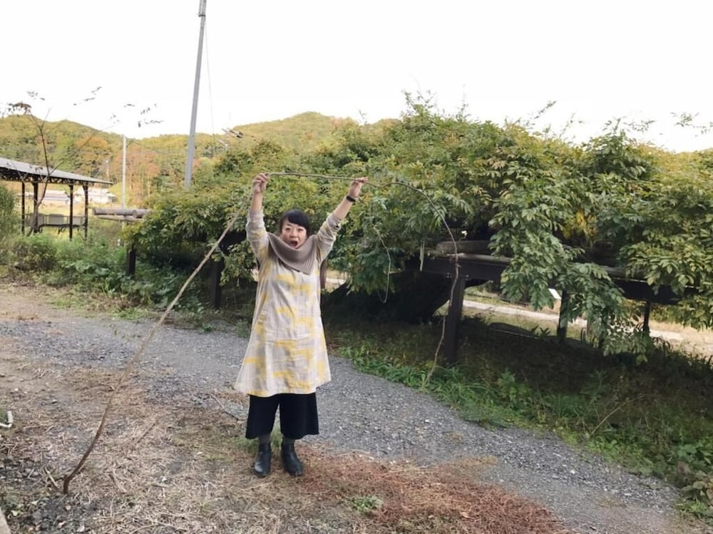 Фото Guesthouse-Lahar- Hostel