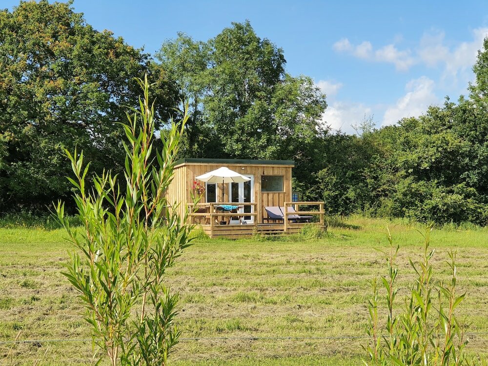 Фото Dartmoor Reach Alpaca Farm
