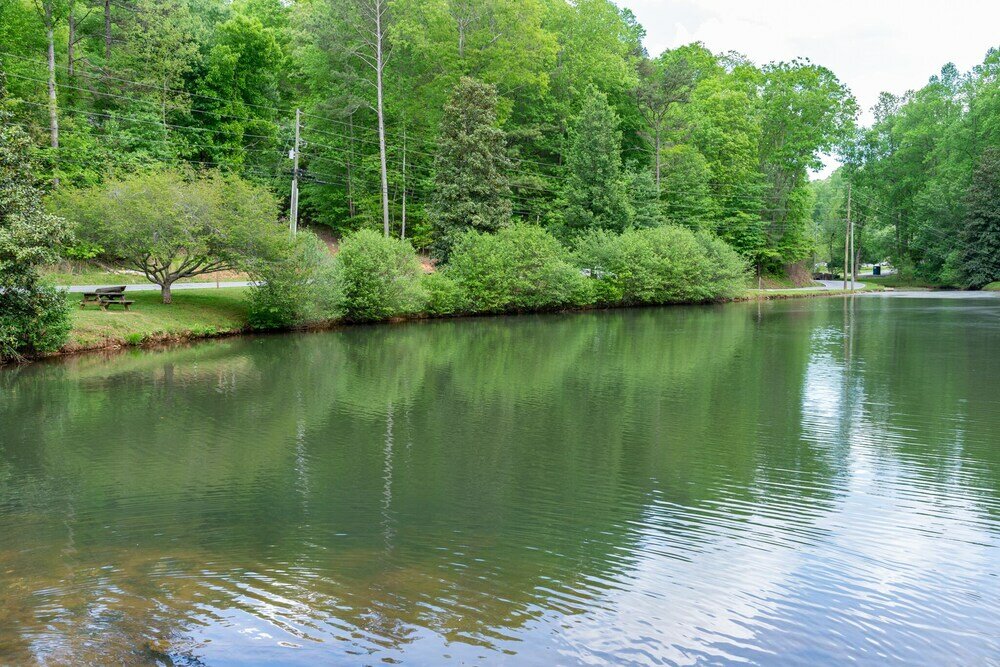 Фото Leisure Bear Lodge