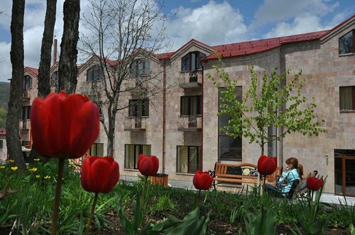 Гостиница Alpina Resort by Stellar Hotels в Цахкадзоре