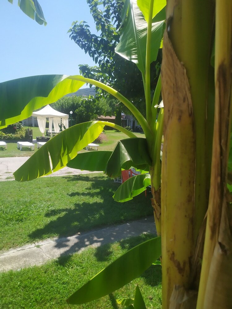 Фото Villa Dimitris