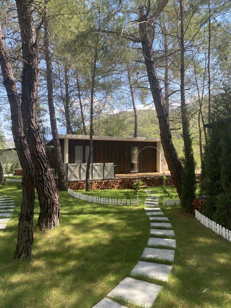 Фото Mossa Afkule