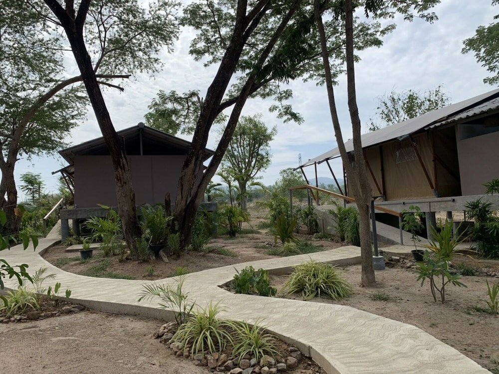 Фото Elephant View Camp