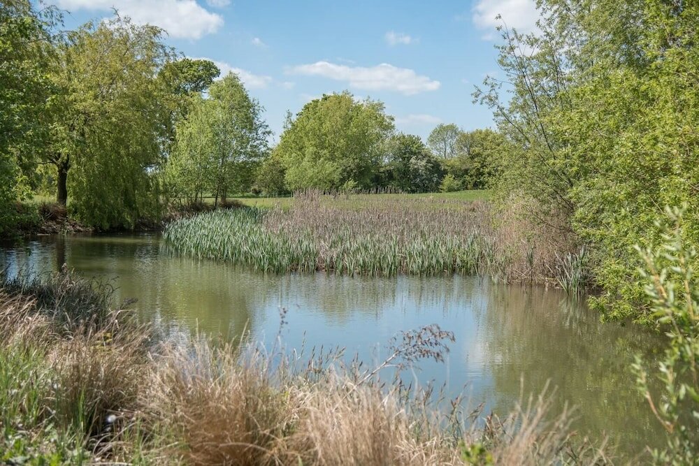 Фото Magnolia, Kingfishers