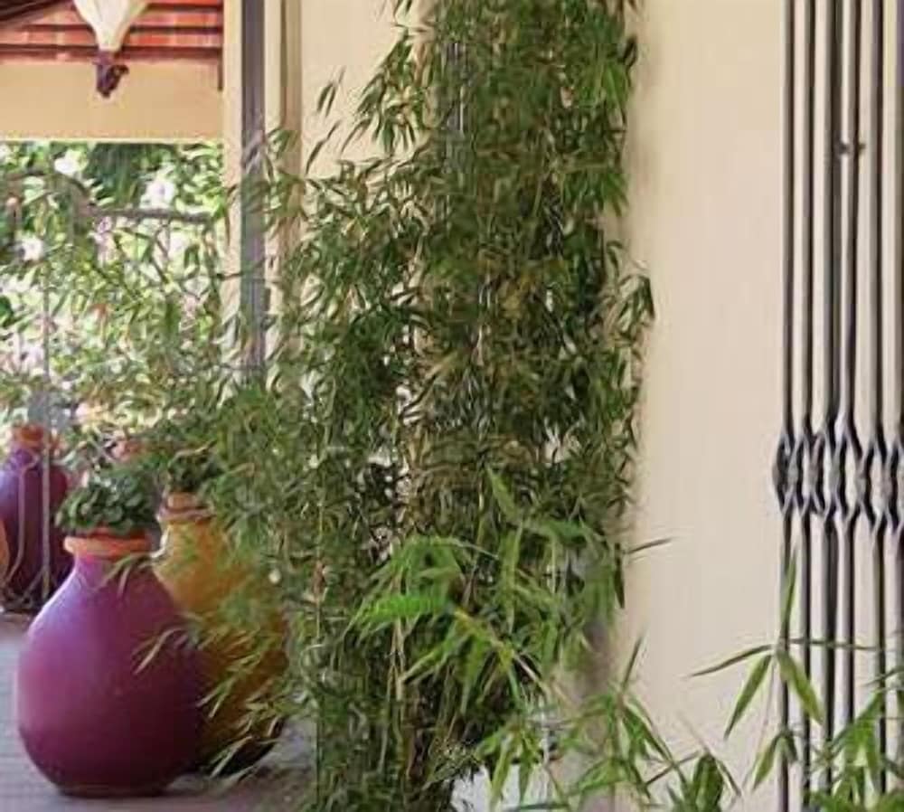 Фото Bo Hotel de Encanto