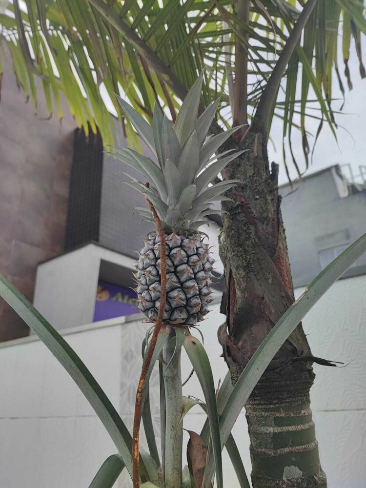 Фото Jundu Beach Hostel