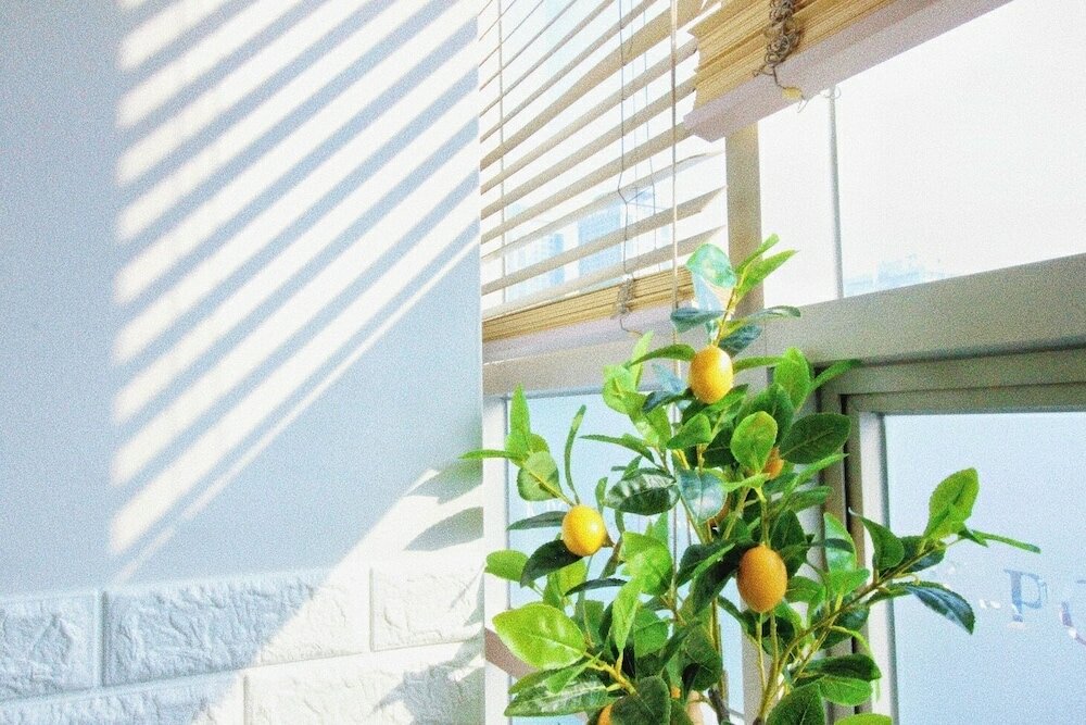 Фото Hostel Kpop