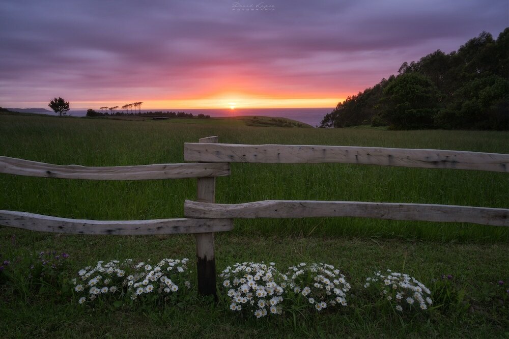 Фото Hotel Rural La Sobreisla