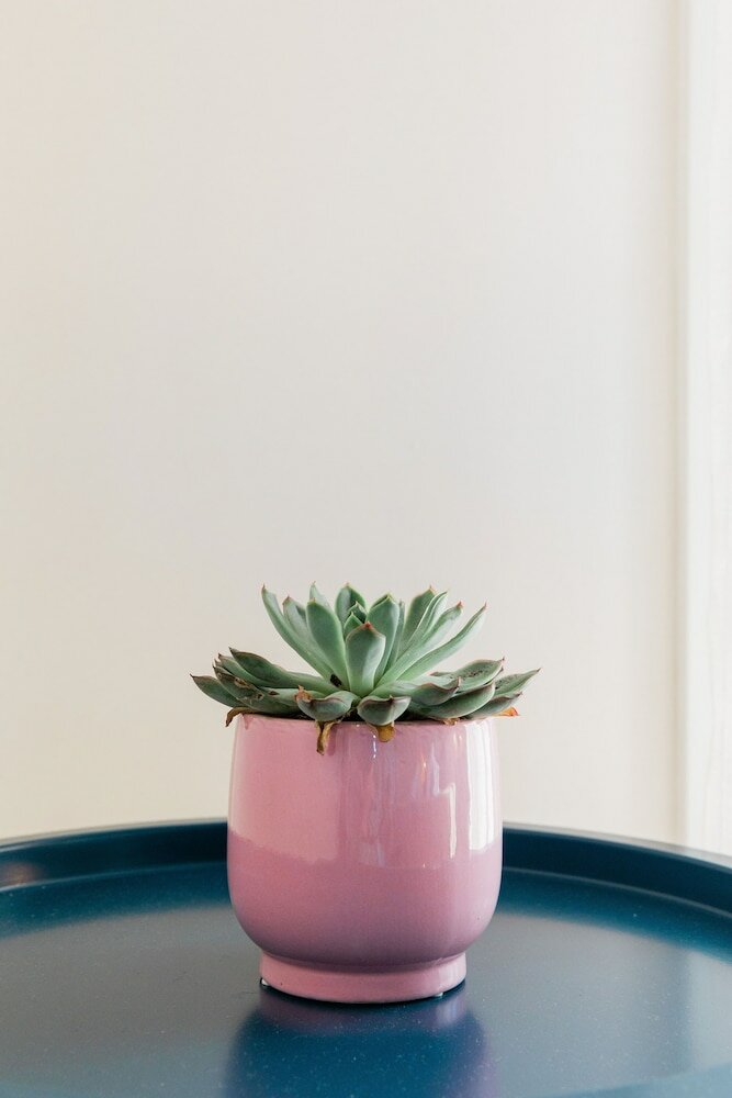 Фото Seadrop Suites