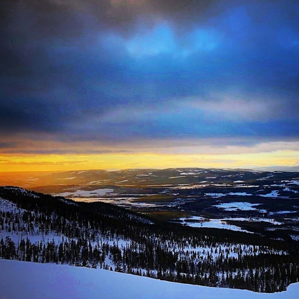 Фото Vildmarks Lodge