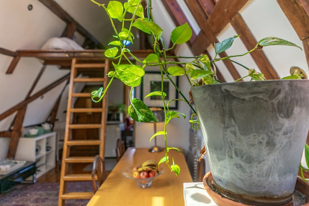 Фото B&b Singel Suites