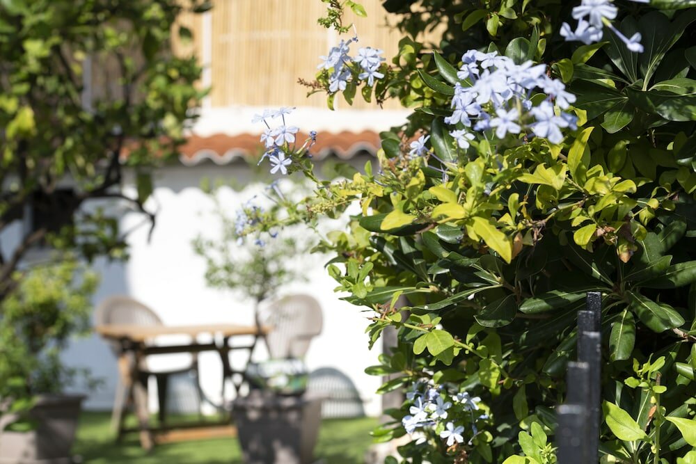 Фото Hotel & Studios Astor