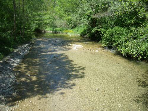 Фото Camping Pirinenc