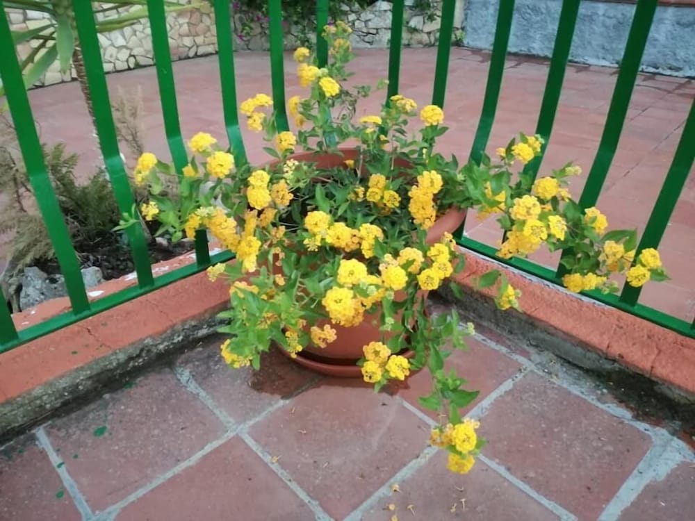 Фото B&b Borgo Pileri