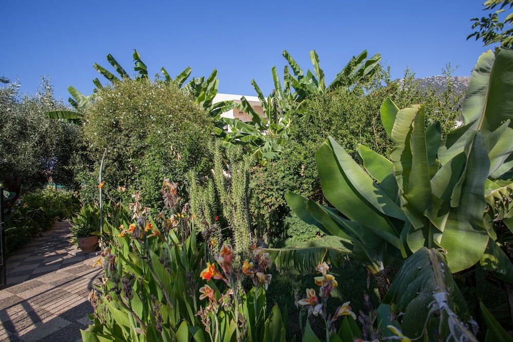 Фото Bali Dorian