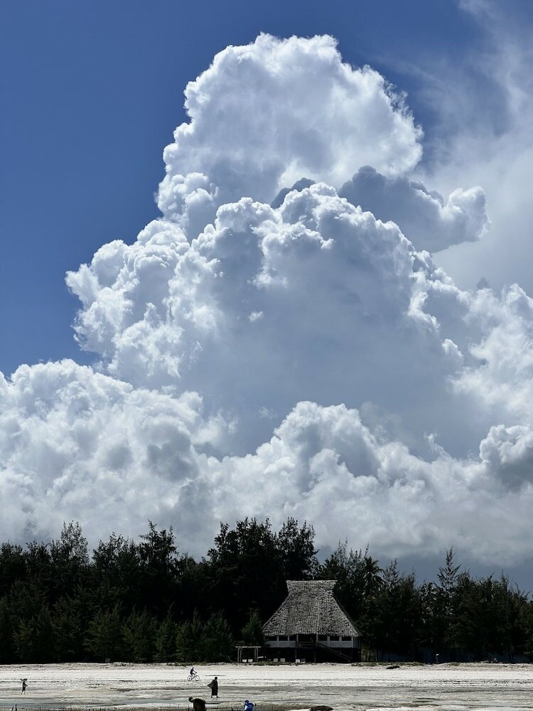 Фото Kivuli Beach Resort Paje