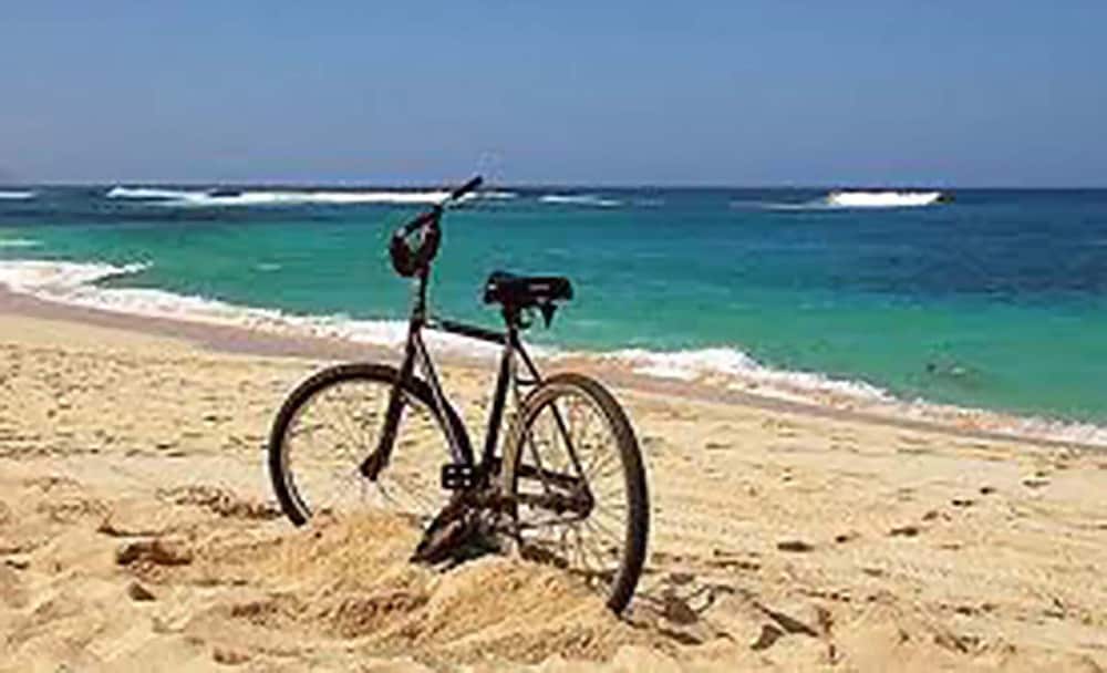 Фото 209081986022