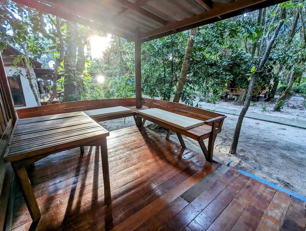 Фото Ziggy Stardust