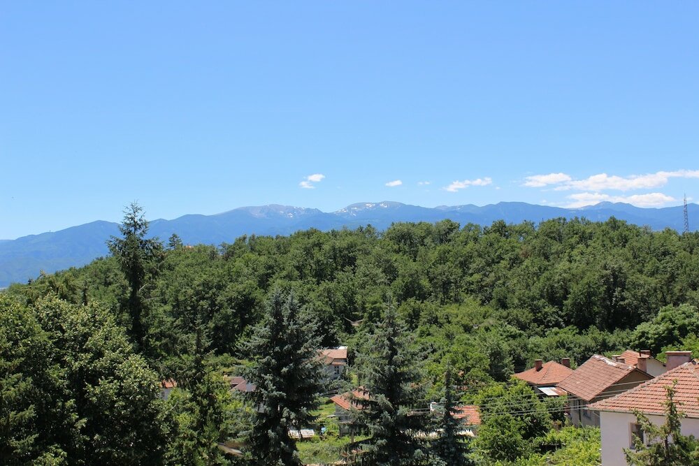 Фото Hotel Vitalis