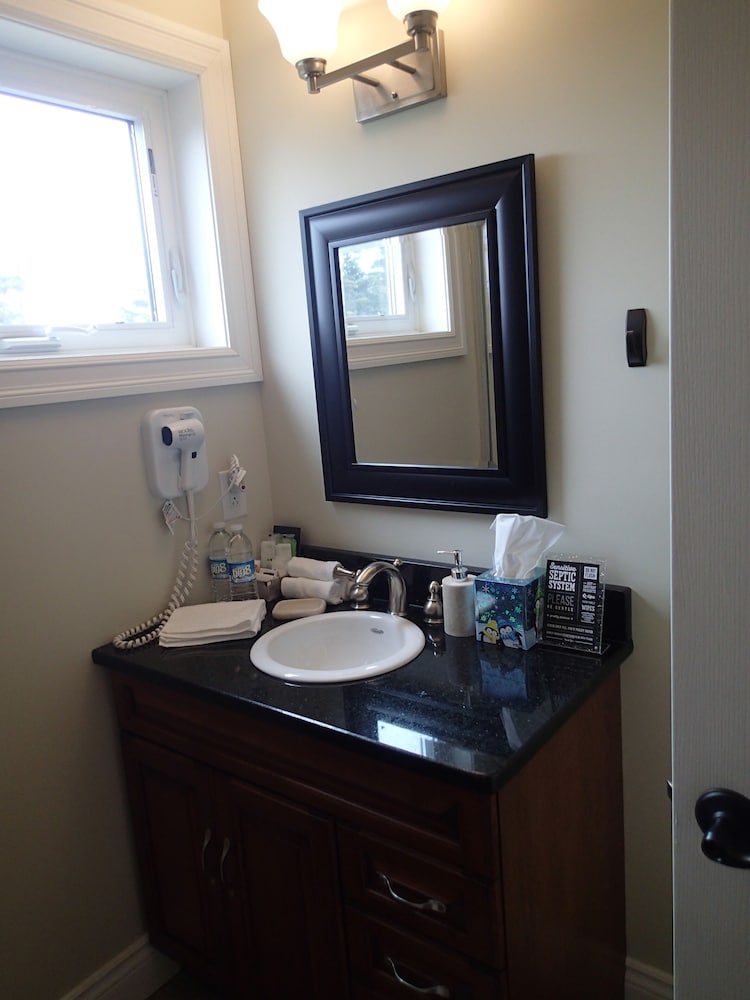 Фото The Cozy Fox