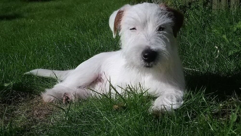 Фото Hostel & Camping Frederiksværk City