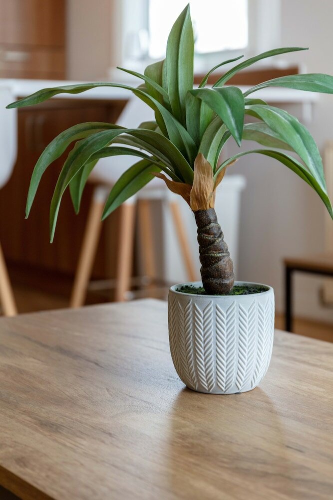 Фото Walker Suite № 54 - Donnini Apartments