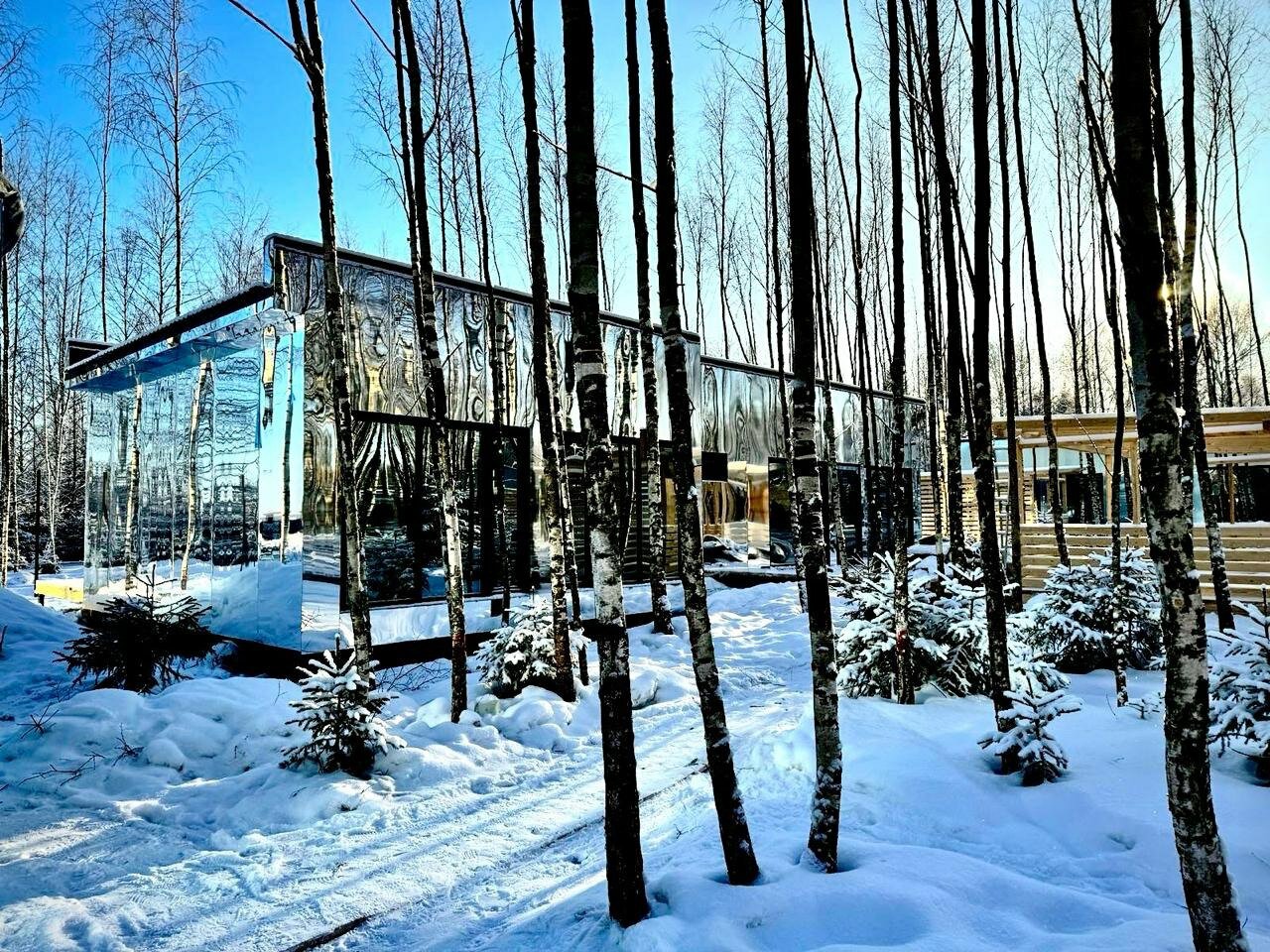 Фото Мы Дома- Зеркальный лес