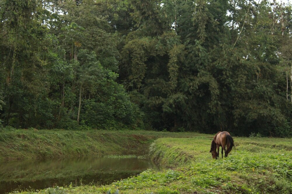 Фото Hostería D'Carlos