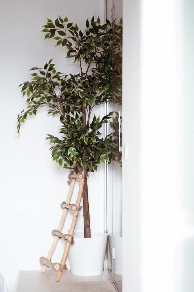 Фото Break For Two