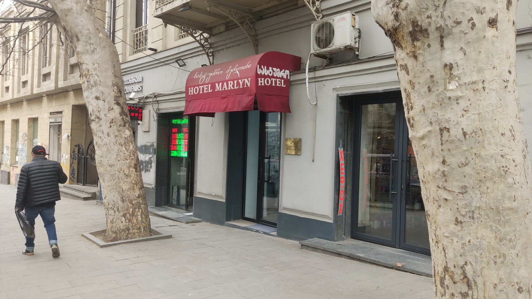 Фото Марлин