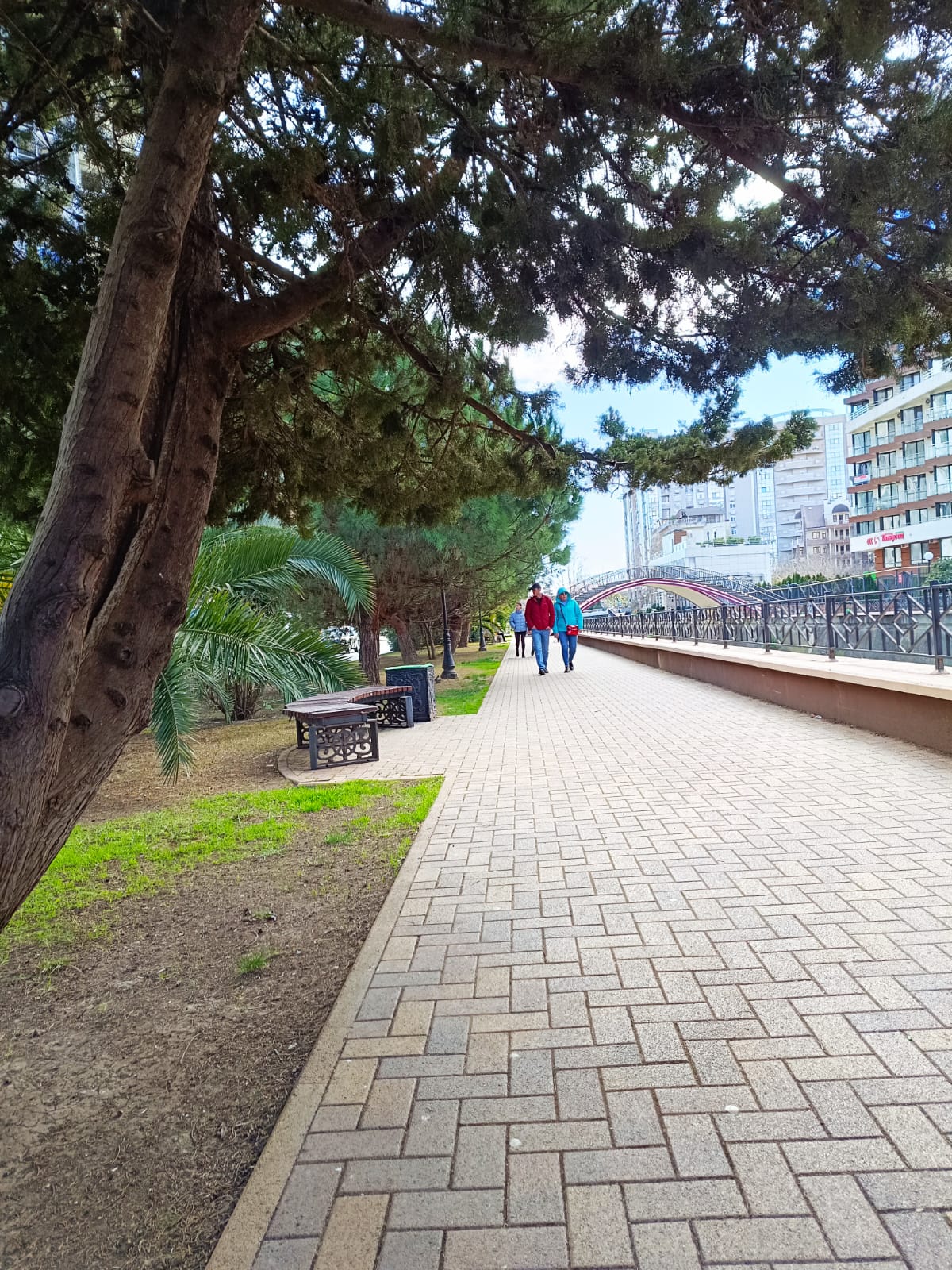 Фото Вечные лета