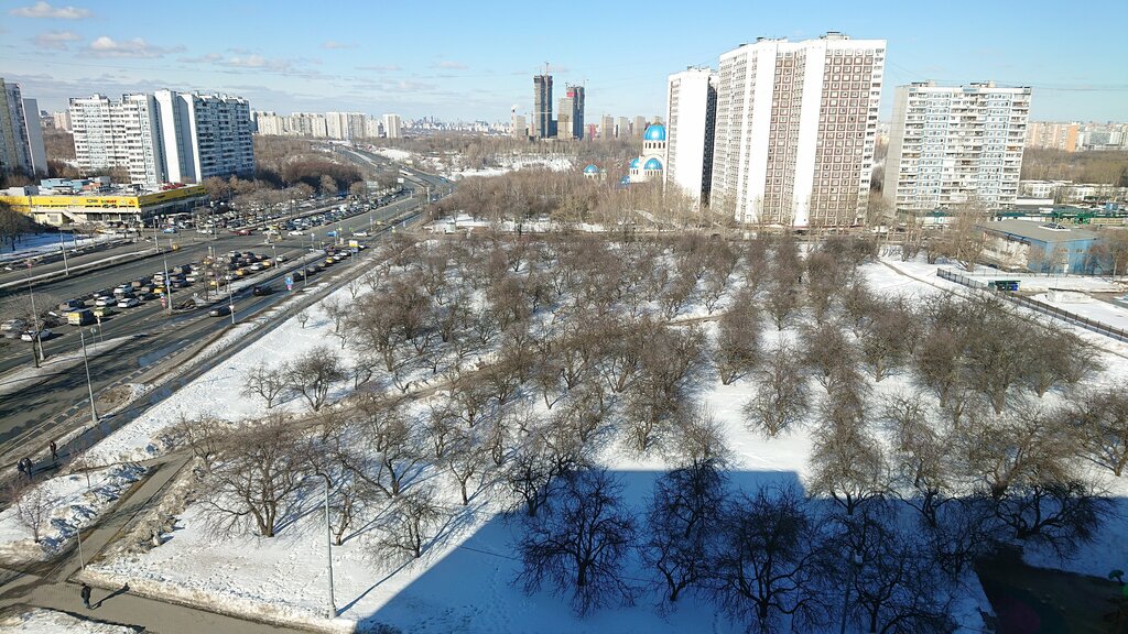 Garden Яблоневый сад, Moscow, photo