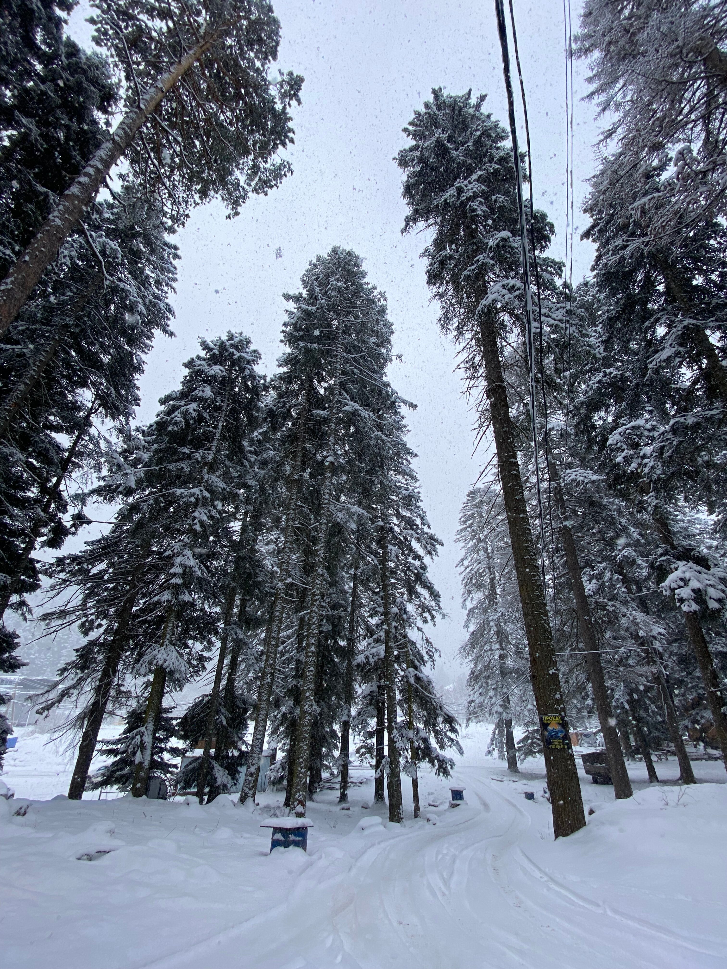 Фото Хижина