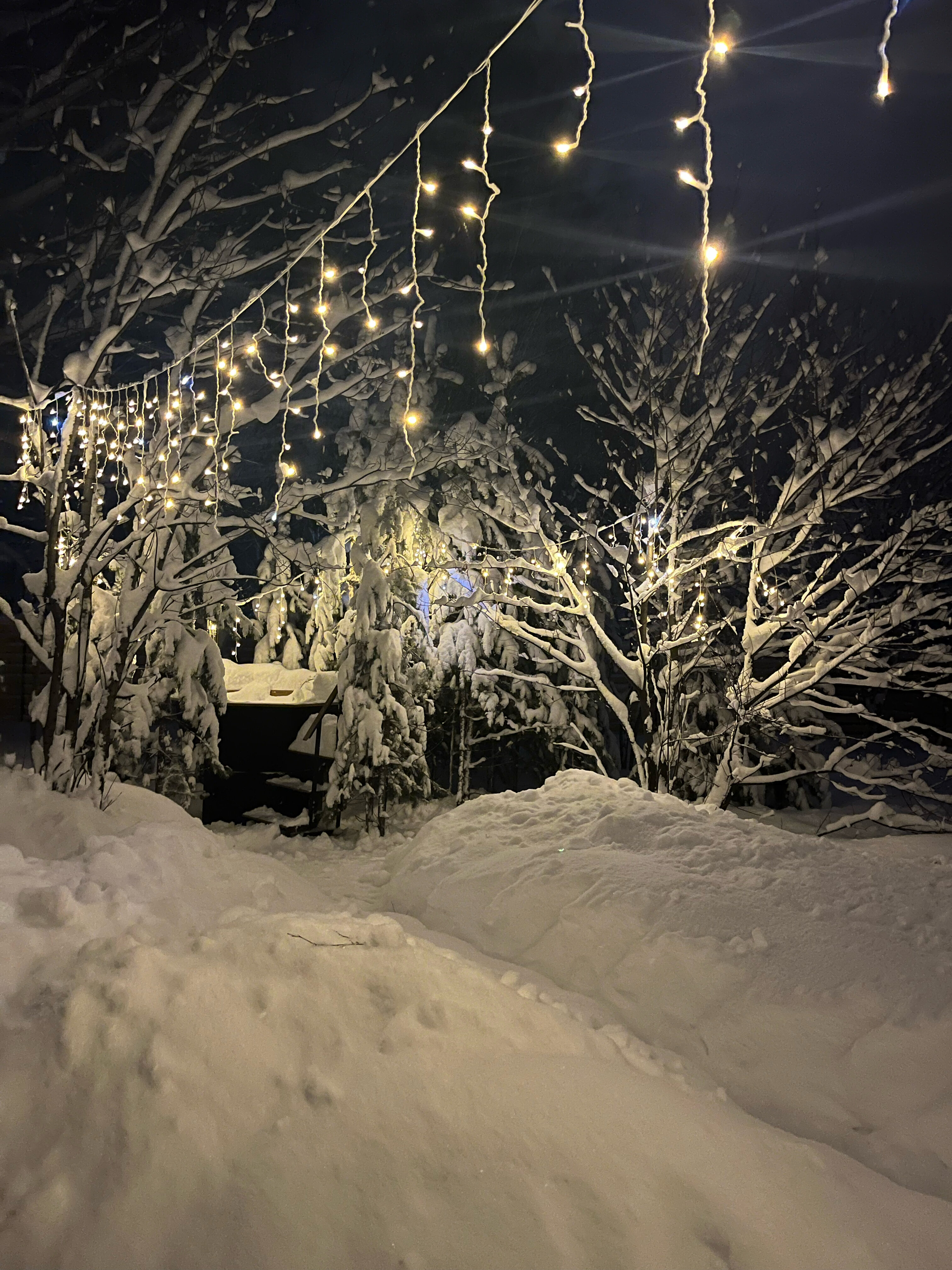 Фото DreamHouse Village