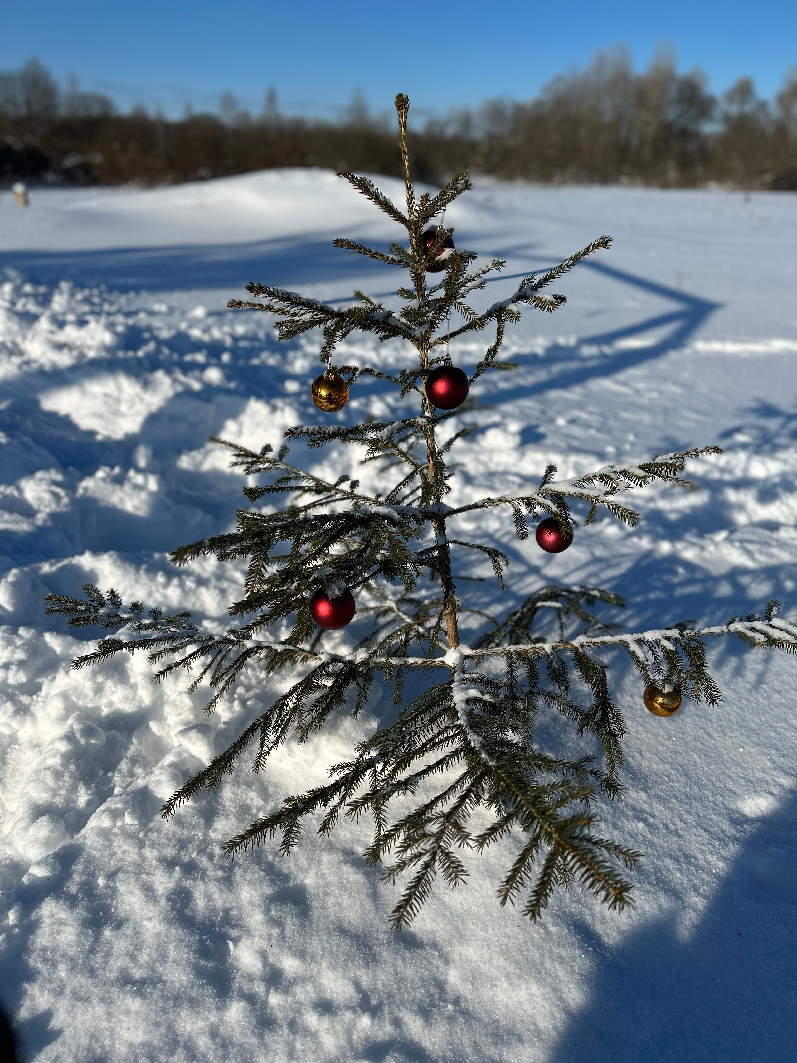 Фото Zefirka camp