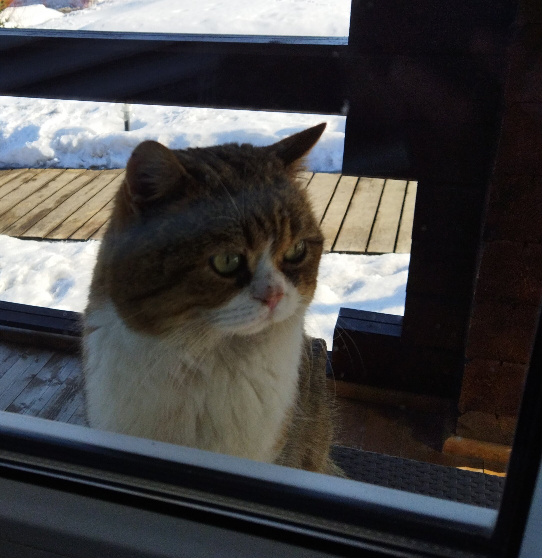 Фото Усадьба Дон